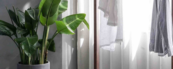feuille de pierre naturelle